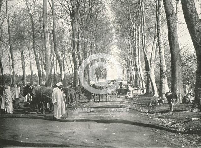 'Arab fair and market', Boufarik, Algeria, 1895.  Creator: Poulton & Co.