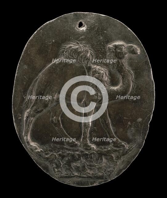 Arabian Camel (or Dromedary), c. 1570s/1580s. Creator: Antonio Abondio.