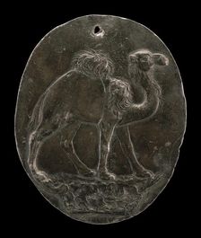 Arabian Camel (or Dromedary), c. 1570s/1580s. Creator: Antonio Abondio