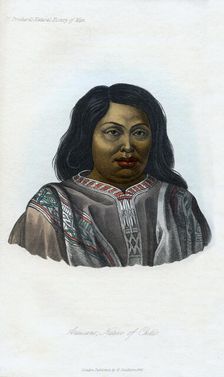 Araucano, Native of Chili 1848