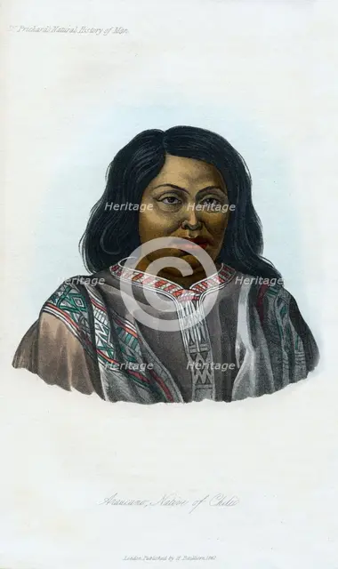 'Araucano, Native of Chili', 1848. Artist: Unknown