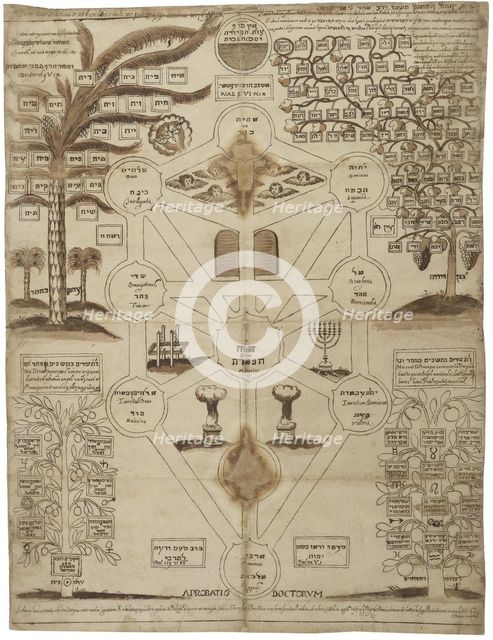 Arbor Cabalistica (Kabbalistic Tree), ca 1625. Artist: Anonymous  