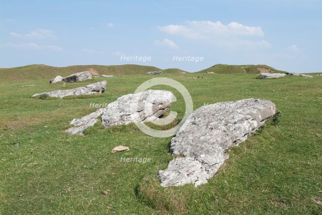 Arbor Low, 2006. Creator: Ethel Davies.