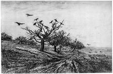 Arbre a Corbeaux 1840-1875, (1924). Artist: Charles François Daubigny