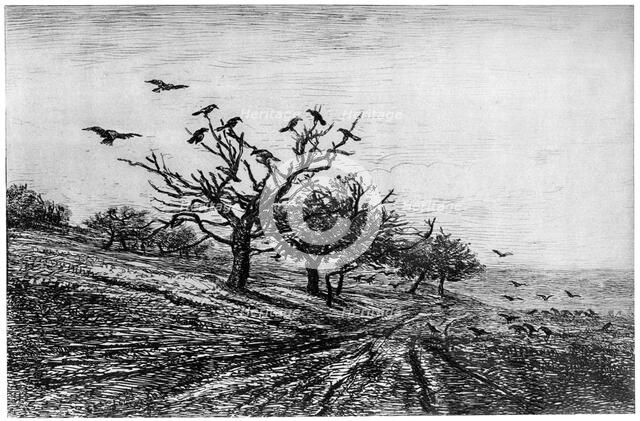 'Arbre a Corbeaux', 1840-1875, (1924). Artist: Charles François Daubigny