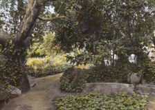 "Arcady," George Owen Knapp house, Sycamore Canyon Road, Montecito, California, 1917. Creator: Frances Benjamin Johnston