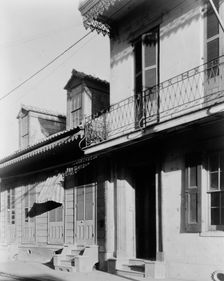 Arcady--"where all the leaves are merry", between 1930 and 1940(?). Creator: Frances Benjamin Johnston
