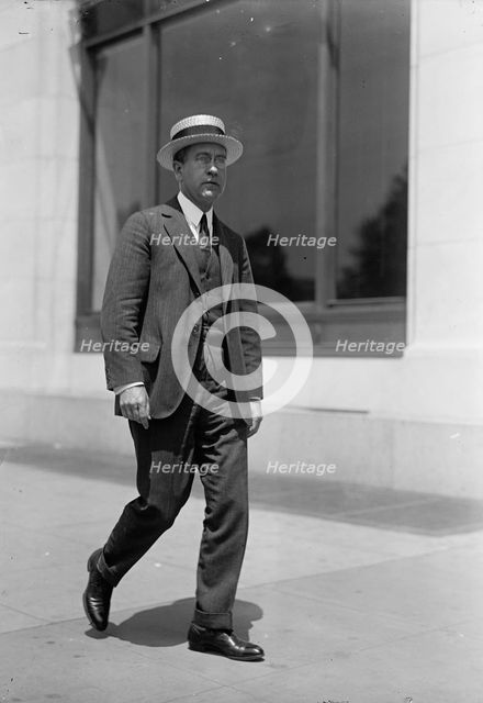 Arch. Wilkinson Shaw of Chicago, 1917. Creator: Harris & Ewing.