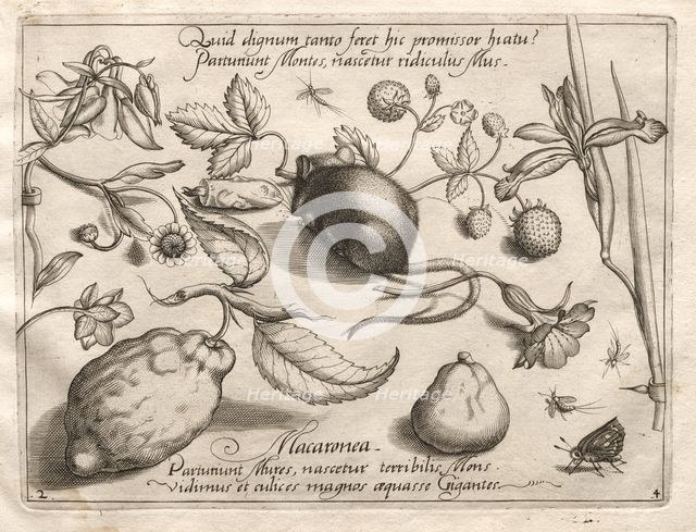 Archetypes and Studies: What can emerge in keeping with such a cavernous promise?, 1592. Creator: Joris Hoefnagel (Flemish, 1542-1601).