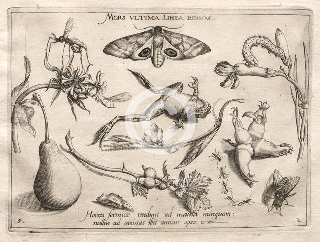 Archetypes and Studies: Death is the line that marks the end of all (Part II, plate 5), 1592. Creator: Joris Hoefnagel (Flemish, 1542-1601).