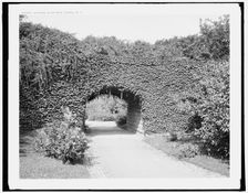 Archway in the park, Buffalo, N.Y., between 1900 and 1906. Creator: Unknown