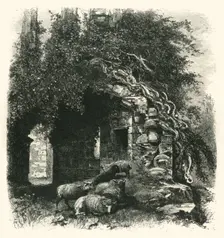 Archway, Kenilworth Castle c1870