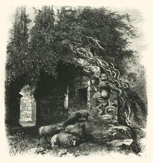 Archway, Kenilworth Castle c1870