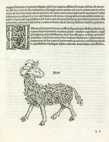 Aries, 1488. Creator: Unknown