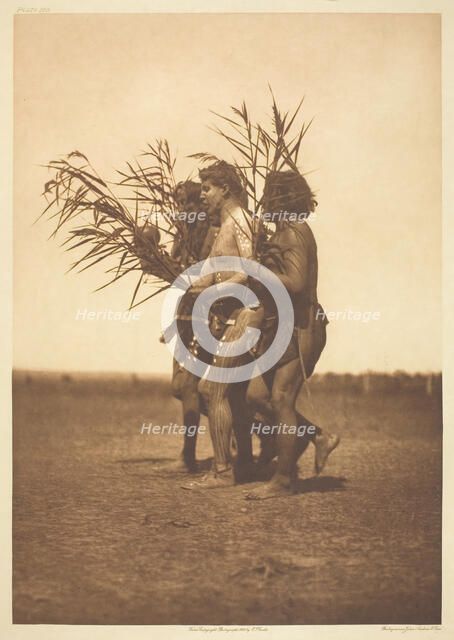 Arikara Medicine Ceremony - the Ducks, 1908. Creator: Edward Sheriff Curtis.