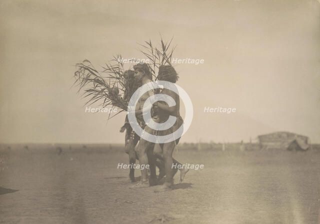 Arikara Medicine Ceremony-The Ducks, c1908. Creator: Edward Sheriff Curtis.