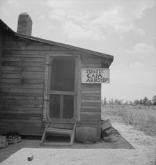Arkansas cafe, 1937. Creator: Dorothea Lange