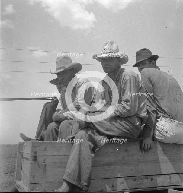 Arkansas sharecroppers going home, near Blytheville..., 1936. Creator: Dorothea Lange.