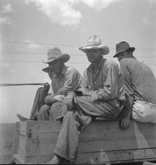 Arkansas sharecroppers going home, near Blytheville..., 1936. Creator: Dorothea Lange