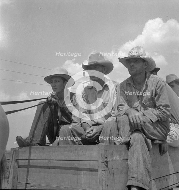 Arkansas sharecroppers going home, Near Blytheville, Arkansas, 1936. Creator: Dorothea Lange.