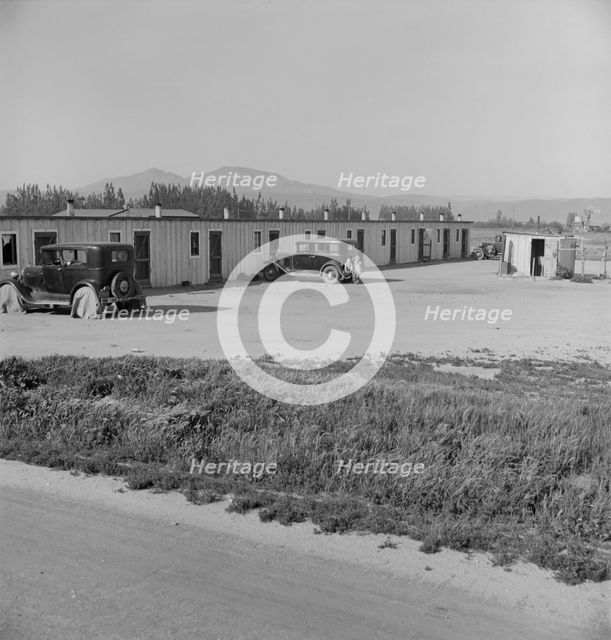Arkansawyers auto camp...with Arkansas migrants, Greenfield, Salinas Valley, CA, 1939. Creator: Dorothea Lange.