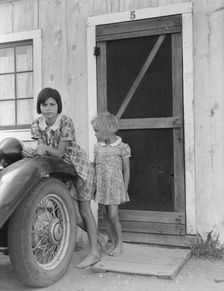 Arkansawyers auto camp filled almost completely with…, Greenfield, Salinas Valley, CA, 1939. Creator: Dorothea Lange