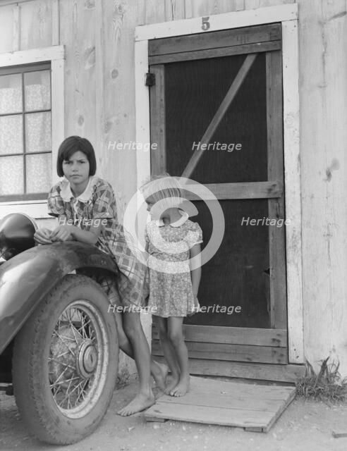 Arkansawyers auto camp filled almost completely with…, Greenfield, Salinas Valley, CA, 1939. Creator: Dorothea Lange.