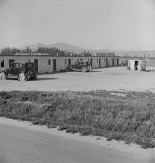 Arkansawyers auto camp...with Arkansas migrants, Greenfield, Salinas Valley, CA, 1939. Creator: Dorothea Lange