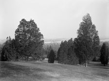 Arlington National Cemetery - View, 1913. Creator: Harris & Ewing