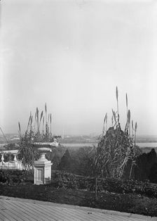 Arlington National Cemetery - View, Washington In Distance, 1912. Creator: Harris & Ewing