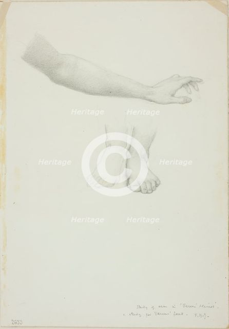 Arm and Feet, study for Mirror of Venus, c. 1873-77. Creator: Sir Edward Coley Burne-Jones.