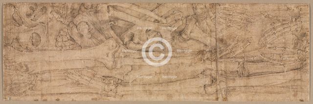 Arm Bones, early 1540s. Creator: Battista Franco (Italian, c. 1510-1561).