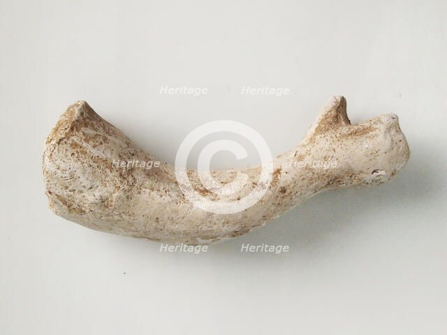 Arm Fragment, Coptic, 4th-7th century. Creator: Unknown.