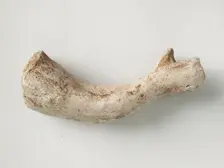 Arm Fragment, Coptic, 4th-7th century. Creator: Unknown