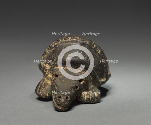 Armadillo, before 1921. Creator: Unknown.