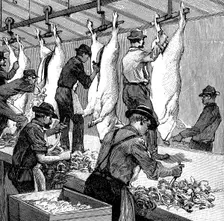 Armour Company's pig slaughterhouse, Chicago, Illinois, USA, 1892. Creator: Unknown