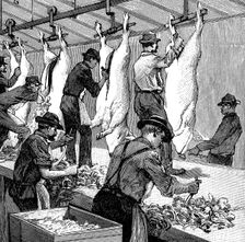 Armour Company's pig slaughterhouse, Chicago, Illinois, USA, 1892. Creator: Unknown