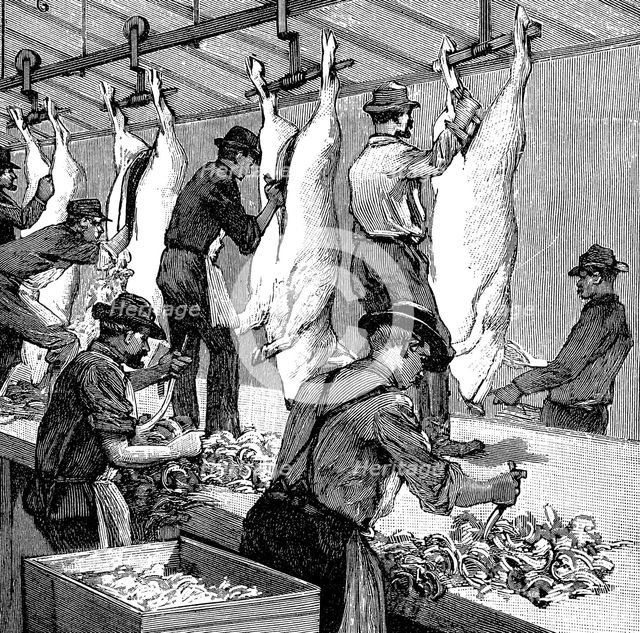 Armour Company's pig slaughterhouse, Chicago, Illinois, USA, 1892.  Creator: Unknown.