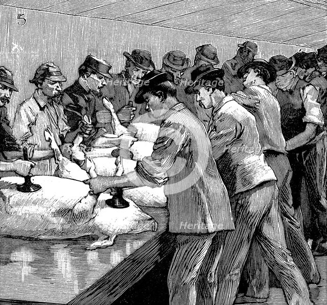 Armour Company's pig slaughterhouse, Chicago, Illinois, USA, 1892.  Creator: Unknown.