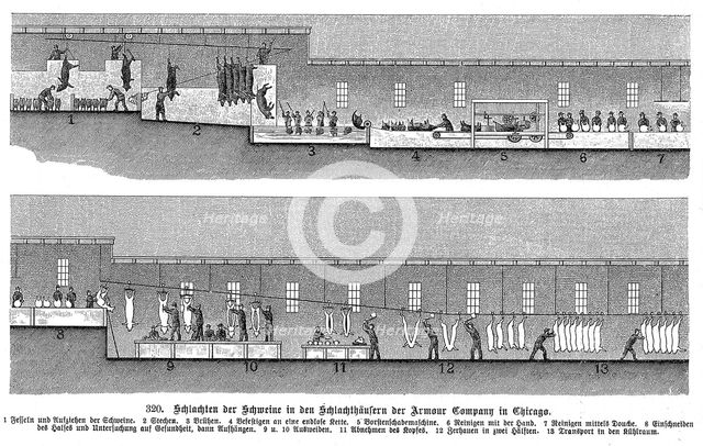 Armour Company's pig slaughterhouse, Chicago, Illinois, USA, 1895.  Creator: Unknown.