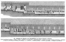 Armour Company's pig slaughterhouse, Chicago, Illinois, USA, 1895
