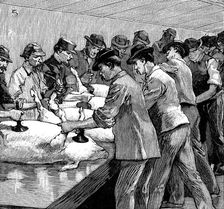 Armour Company's pig slaughterhouse, Chicago, Illinois, USA, 1892