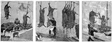 Armour Company's pig slaughterhouse, Chicago, Illinois, USA, 1892
