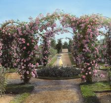 "Armsea Hall," Charles Frederick Hoffman Jr. house, Narragansett Bay, Newport, Rhode Island, 1914. Creator: Frances Benjamin Johnston