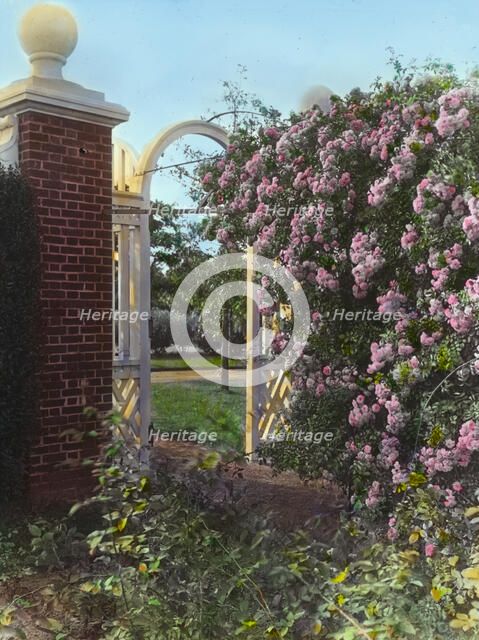 "Armsea Hall," Charles Frederick Hoffman Jr. house, Narragansett Bay, Newport, Rhode Island, 1914. Creator: Frances Benjamin Johnston.