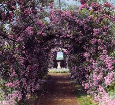 "Armsea Hall," Charles Frederick Hoffman Jr. house, Narragansett Bay, Newport, Rhode Island, 1914. Creator: Frances Benjamin Johnston