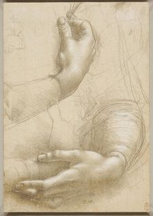 Arms and female hands, c. 1480. Creator: Leonardo da Vinci (1452-1519)