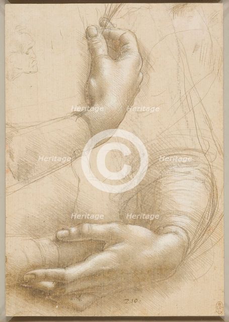 Arms and female hands, c. 1480. Creator: Leonardo da Vinci (1452-1519).