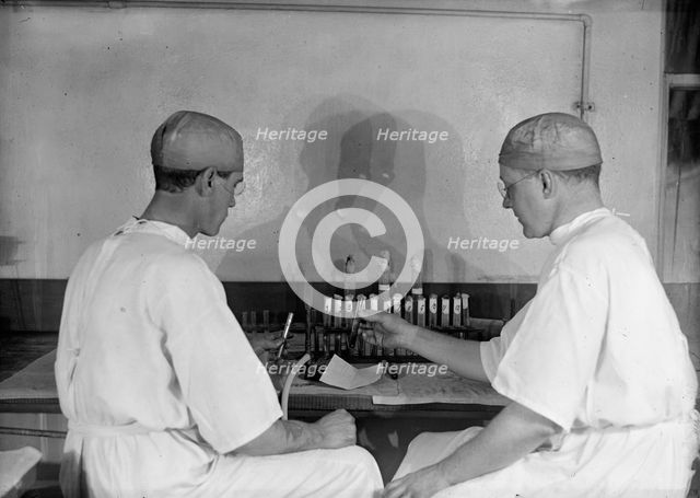Army, U.S. Army Medical School; Typhoid Vaccine, 1917. Creator: Harris & Ewing.