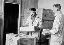 Army, U.S. Army Medical School; Typhoid Vaccine, 1917. Creator: Harris & Ewing